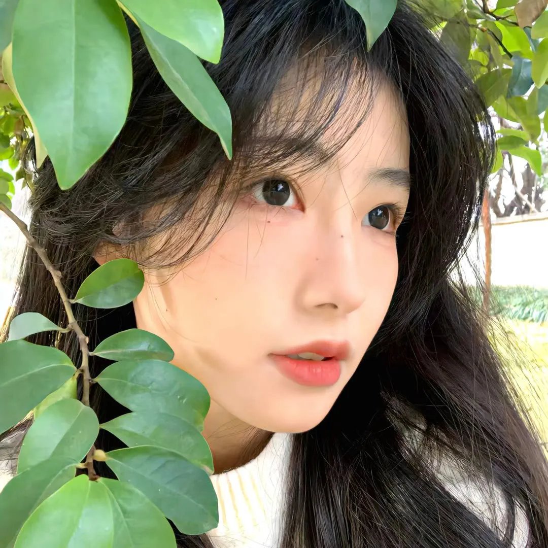夜未央